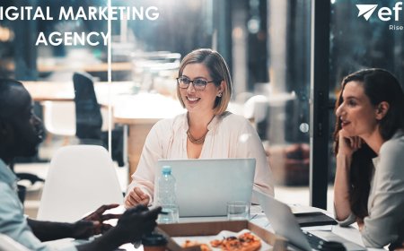 Top Digital Marketing Agency in Noida