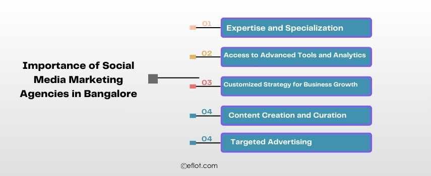 Importance of Social Media Marketing Agencies in Bangalore