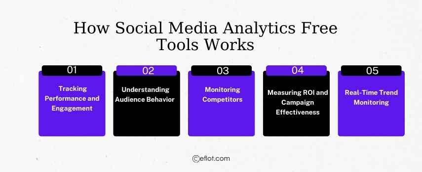 How Social Media Analytics Free Tools Works