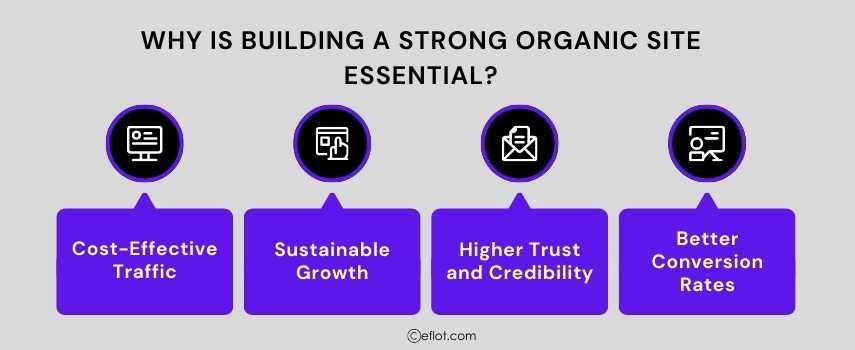 Why is Building a Strong Organic Site Essential?