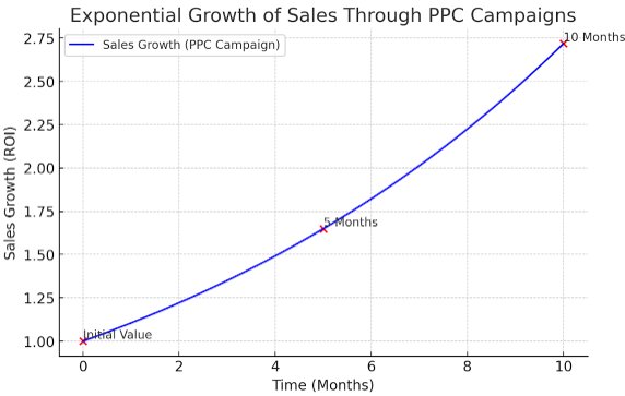 Exponential Growth of Sales Through PPC Campaigns