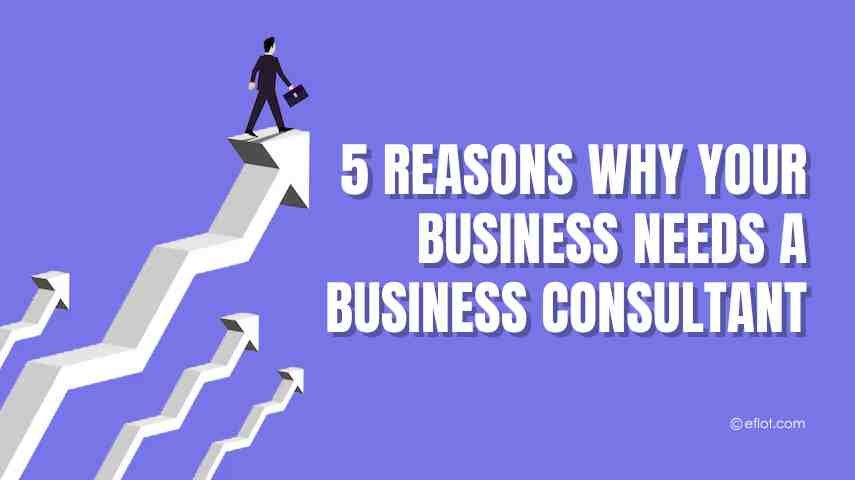 5 Reasons Why Your Business Needs a Business Consultant