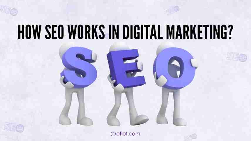 How SEO Works in Digital Marketing? A Beginner’s Guide