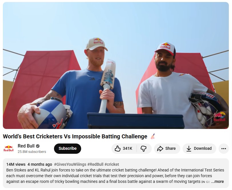 Red Bull sponsorship