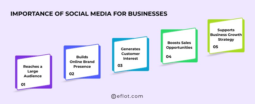 Importance of Social Media for Businesses