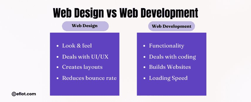 Web Design vs Web Development