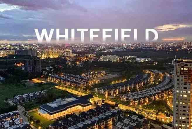 Why Ads Are Important for Whitefield Businesses